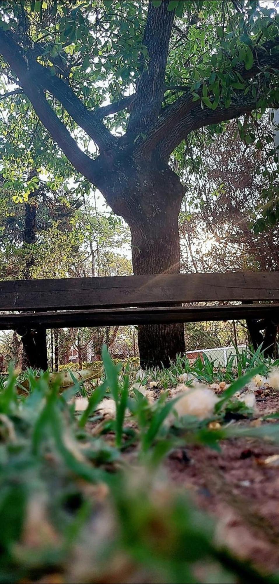 Pousada Chacara Kioski Brotas Buitenkant foto